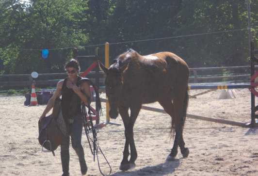 Cheval Brocéliande