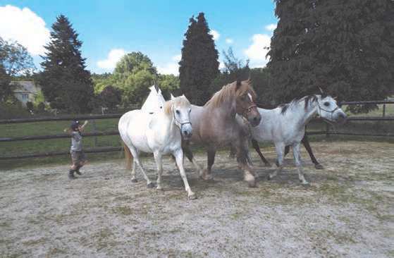 La Claie des Landes La Claie des Landes
